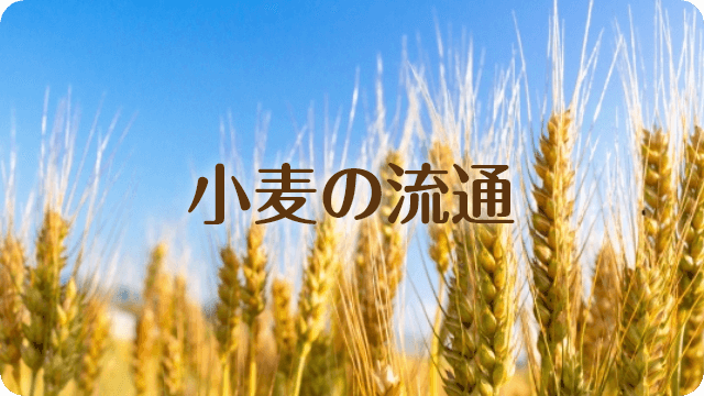 小麦の流通